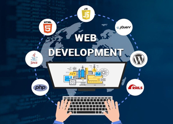 Website Developer